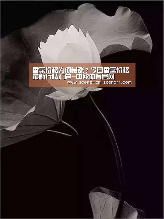 zoty体育