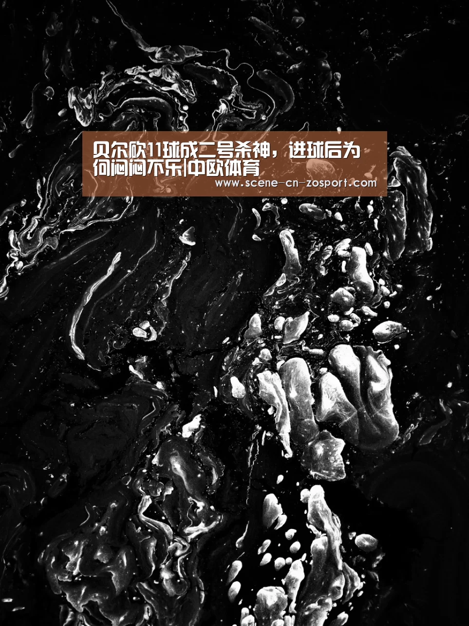 zoty体育
